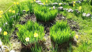 A2g Bjørkhaug - Indre Arna A2g Bjørkhaug - Indre Arna