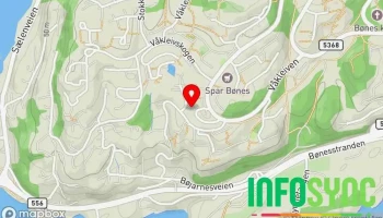 Andersen Consulting Programming - Bønes