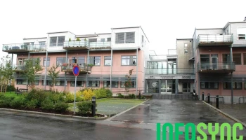 Bdo Mandal - Mandal Bdo Mandal - Mandal