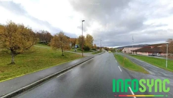 Bedriftsdatabasen - Vevelstad