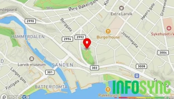 Bøkkerfjellet - Larvik