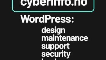 CyberInfo - WordPress Website Design - Norway