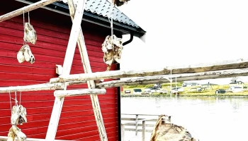 Destinasjon 71 grader nord As - Honningsvåg