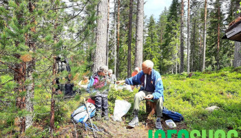 Dnt Ringerike - Hønefoss