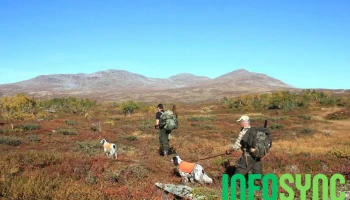 Fjellstyrene i Lierne Sa - Nordli