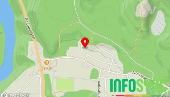 Grane Pc hjelp - Trofors