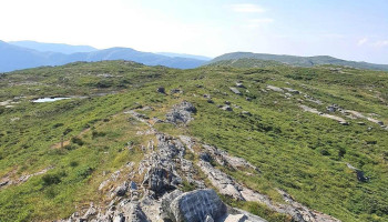 Grønetua - Norge Grønetua - Norge