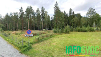 Hallingdal Økonomiservice As - Torpo