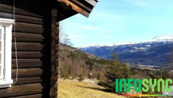 Hjartdal - Hjartdal