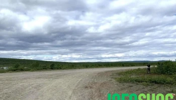 Kautokeino flystripe - Kautokeino