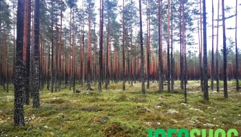 Kilemoen - Norge