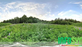 Kongsvinger og Omegn Skytterlag - Kongsvinger