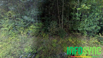 Lier Anlegg As - Lier