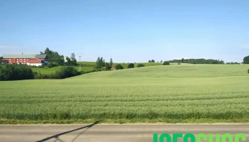 Navisjon - Stange