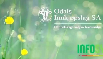 Odals innkjøpslag Sa - Skarnes