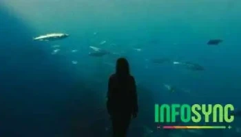 Sintef Ocean - Trondheim