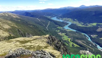 Skagsnebb - Norge Skagsnebb - Norge