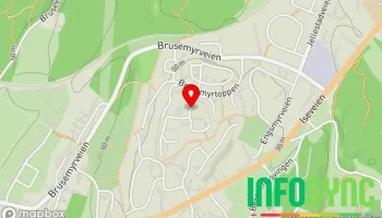 Skjeberg Sanitetsforening - Borgenhaugen