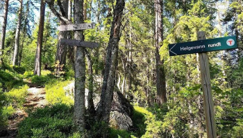 Sti kryss Helgevann - Kongsberg