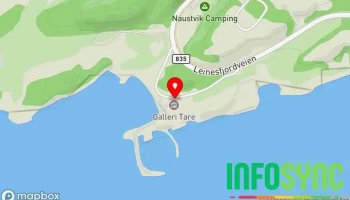 Tare Steigen Air - Leinesfjord