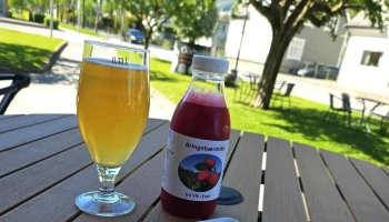 Tine Meieriet Vik - Vik I Sogn