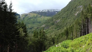 Utsikten Gaularfjellet - Balestrand