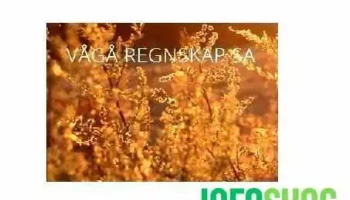 Vågå Regnskap Sa - Vågå