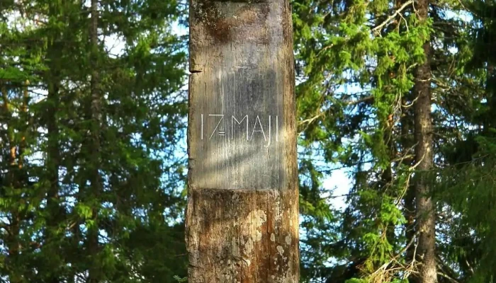 17 Mai Stein Snasa Alle - Snåsa