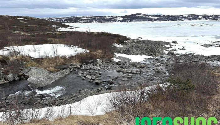 Al Strand - Ål