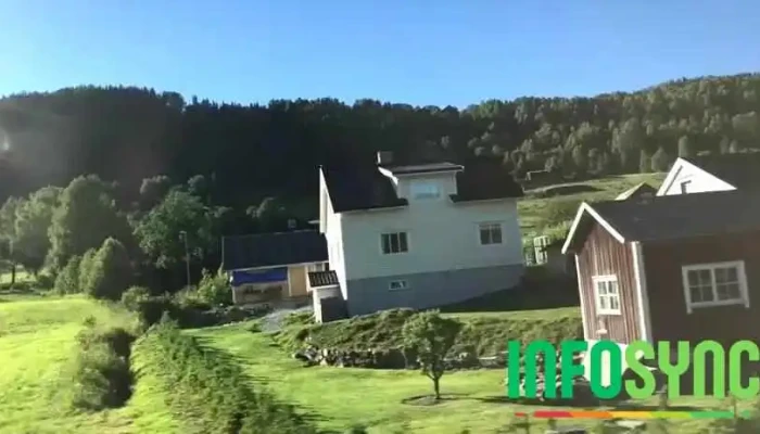 Al Videoer - Ål