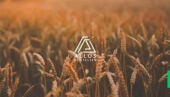 Allos Stiftelsen -  Alle - Skogn