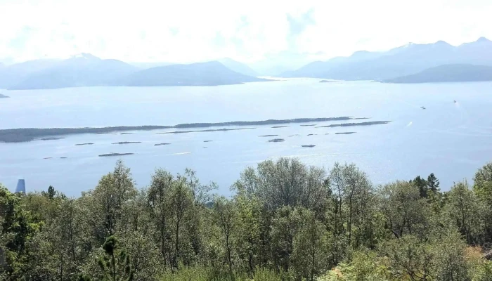 Andalsnes Rabatter - Åndalsnes