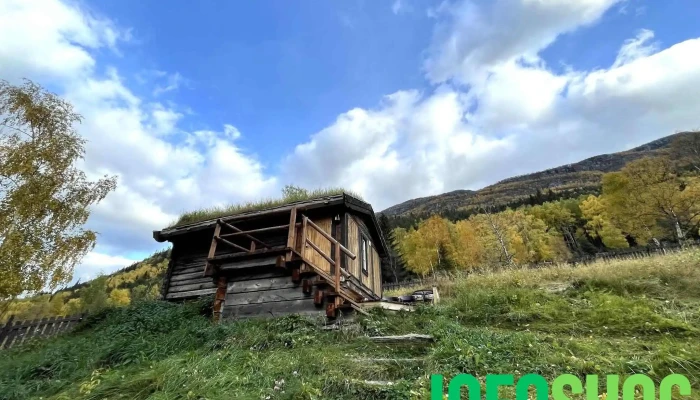 Andberg -  Fra Besokende - Lom
