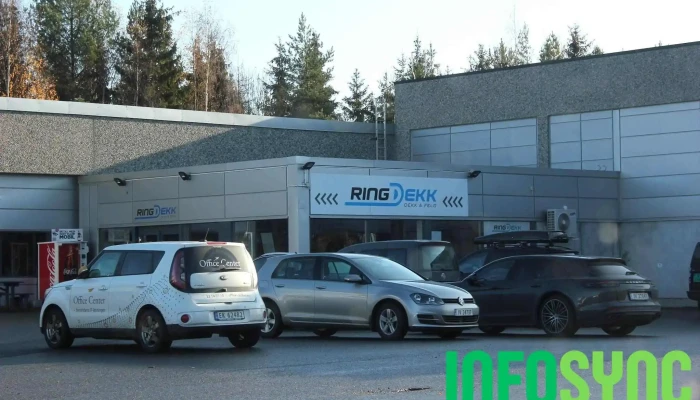 Arbeidsinstituttet Buskerud avd. Ringerike - Hønefoss