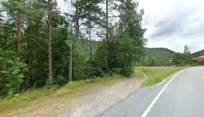 Ardalen Alle - Birkeland