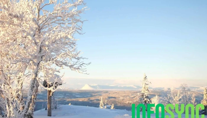 Aurdal Fjellpark Valdres As -  Alle - Aurdal