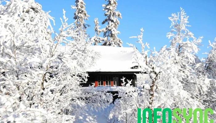 Aurdal Fjellpark Valdres As -  Fra Eieren - Aurdal