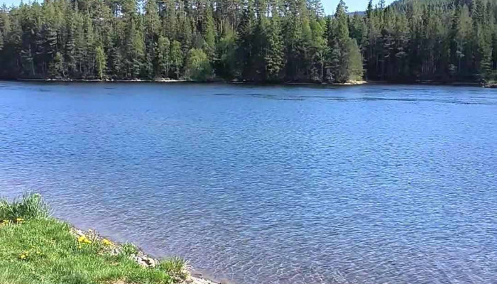 Aurdal Fjordcamping Og Hytter As -  Videoer - Aurdal