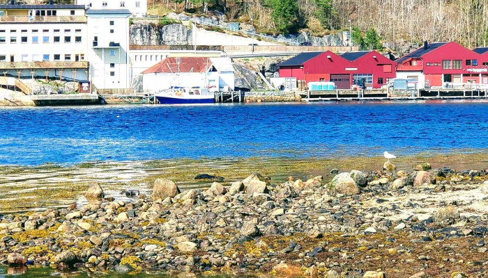 Aure -  Bussholdeplass - Aure