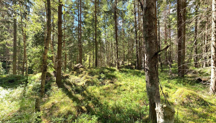 Aurskog -  Holand Street View 360deg - Aurskog-høland