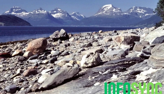 Balsfjorden -  Alle - Vikran