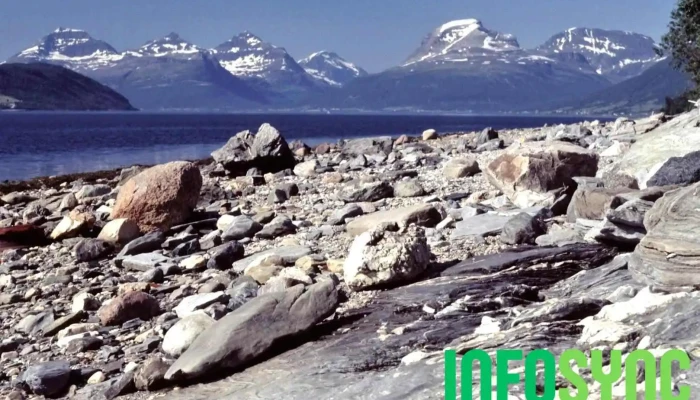 Balsfjorden - Vikran