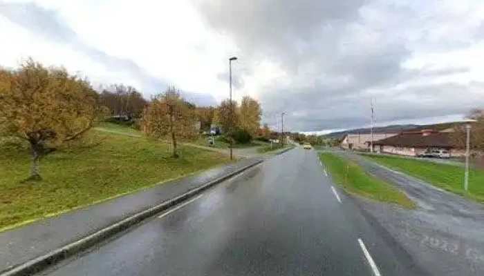Bedriftsdatabasen -  Alle - Vevelstad