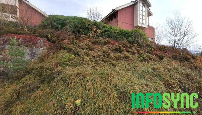 Bergen Moske(Knarvik lokal) - Isdalstø