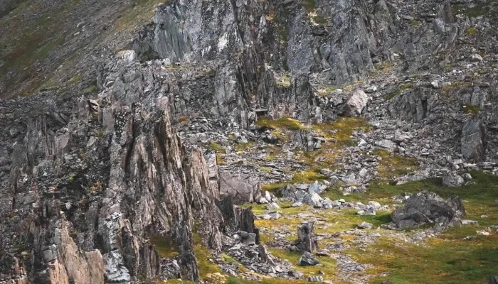Berlevag Fjell - Berlevåg