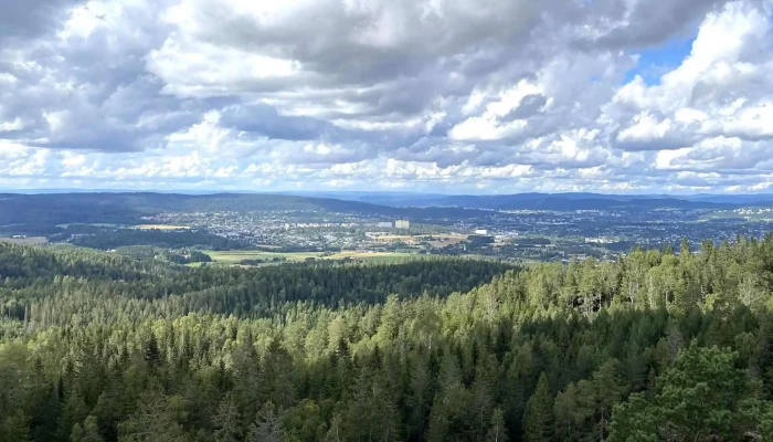 Bjonnasen Anmeldelser - Rælingen