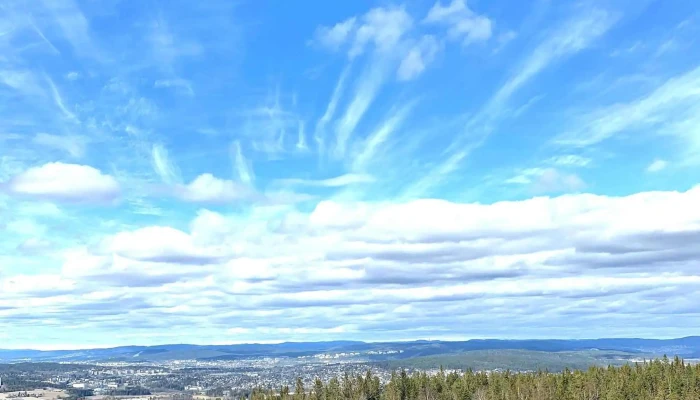 Bjonnasen Poengsum - Rælingen