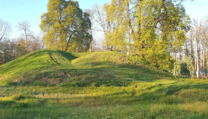 Borrehaugene - Borre