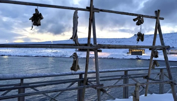 Destinasjon 71 -    Camp Sarnes Priser - Honningsvåg