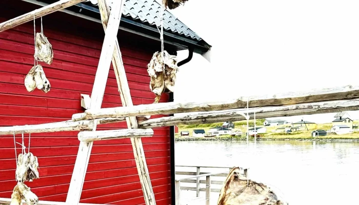 Destinasjon 71 grader nord As - Honningsvåg